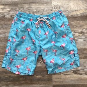 Hot Coals Blue and Pink Flamingo Swim Trunks Large